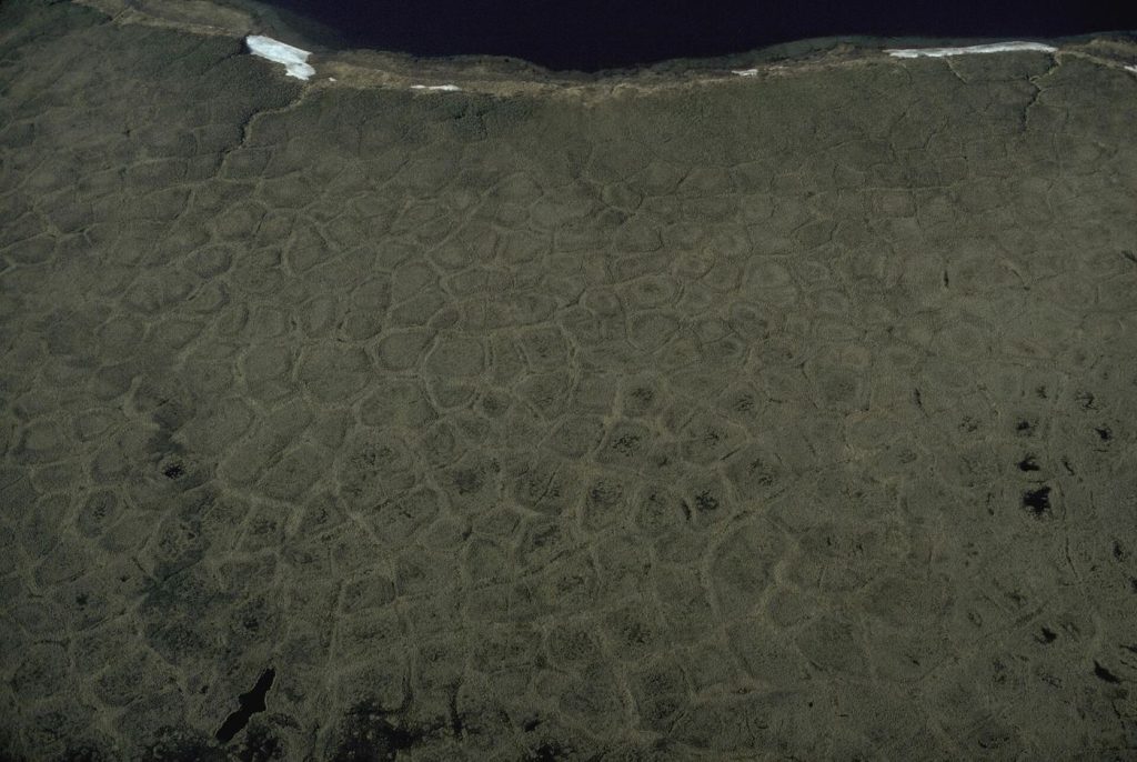 arctic tundra landscape with thawing ground